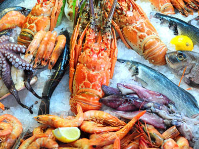 sea-food-and-sea-food-products
